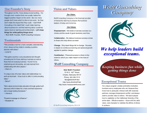 Wolff Consulting Trifold - Page 1
